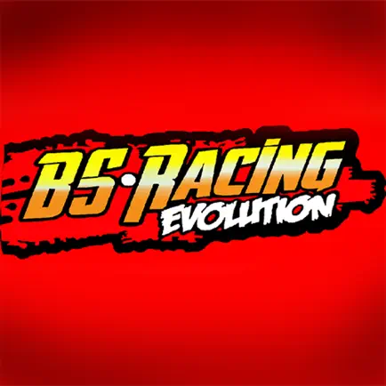 BS Racing Читы