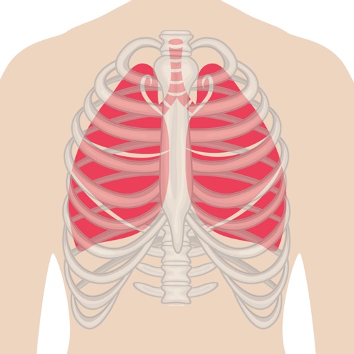 e-Anatomy V2