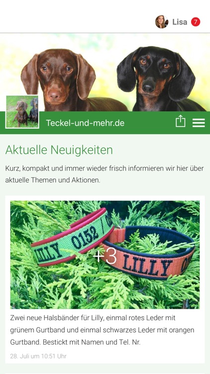 Teckel-und-mehr.de