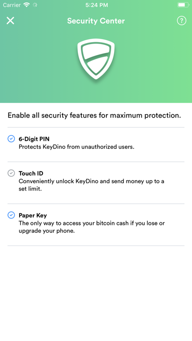 KeyDino: Bitcoin Cash Wallet screenshot 3