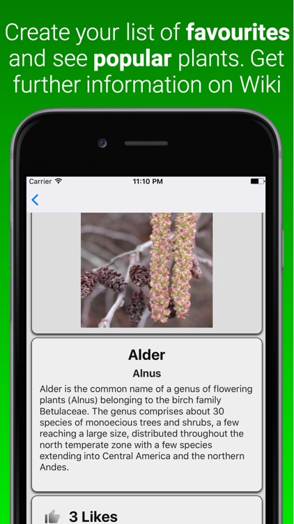 Plant Dictionary