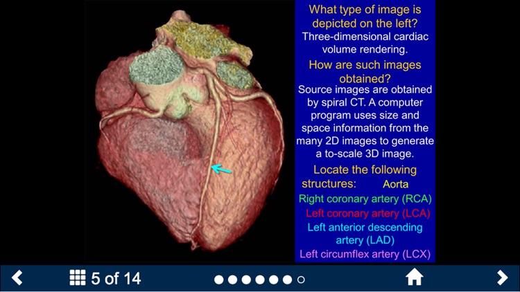 Basic Radiology - Secondlook screenshot-4