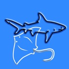 Top 39 Reference Apps Like Sharks & Rays, by Reef Life - Best Alternatives
