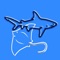 Reef Life Sharks & Rays is a comprehensive marine life identification app, cover all species of type Sharks and Rays