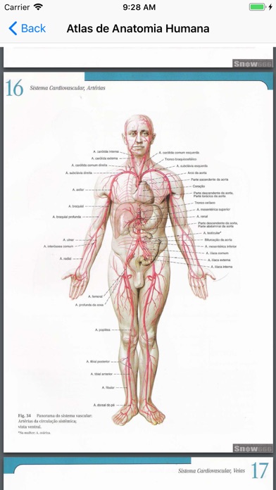 Human Anatomy Atlas screenshot 3