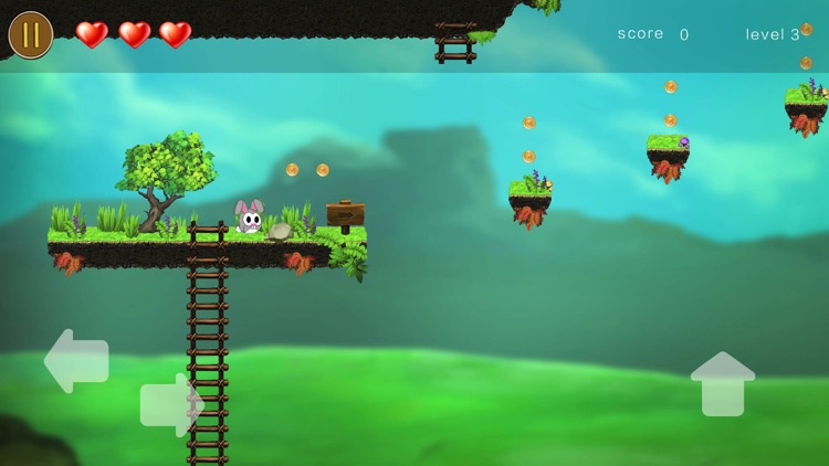 pakkey's adventure - for coin screenshot-4