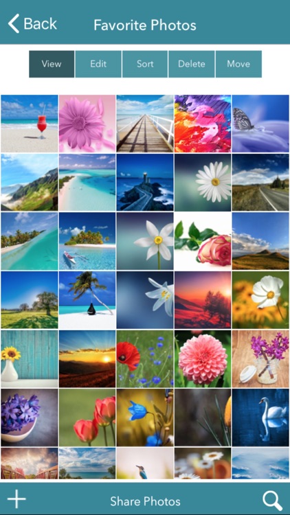 Private Photo Album Organizer