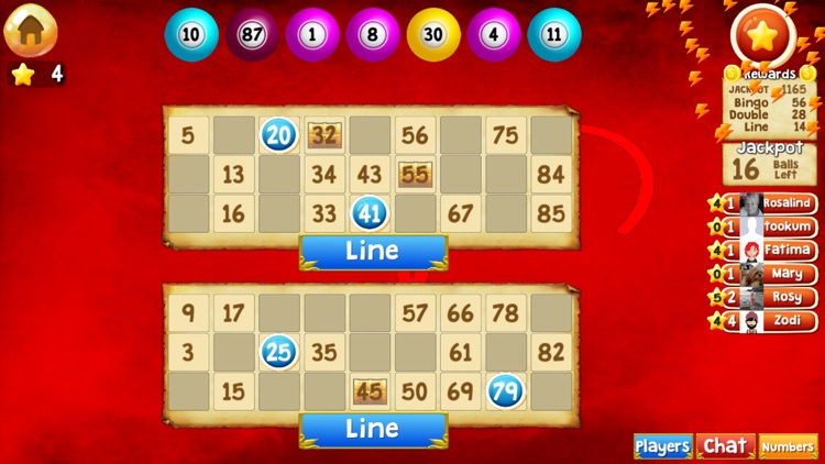 Zodi Bingo