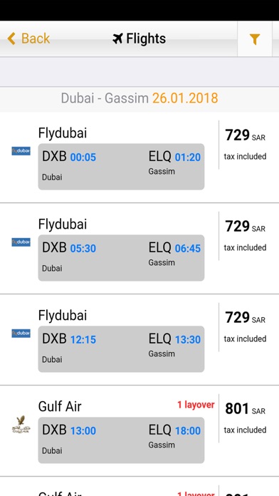 Dubai Fly screenshot 2