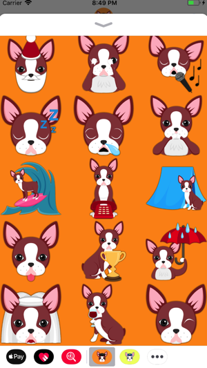 Red Boston Terrier(圖4)-速報App