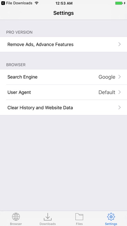 Browser & Offline File Manager screenshot-3
