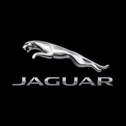 Jaguar Trading Cards