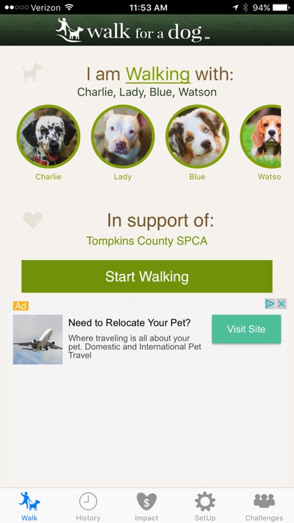 Walk for a Dog