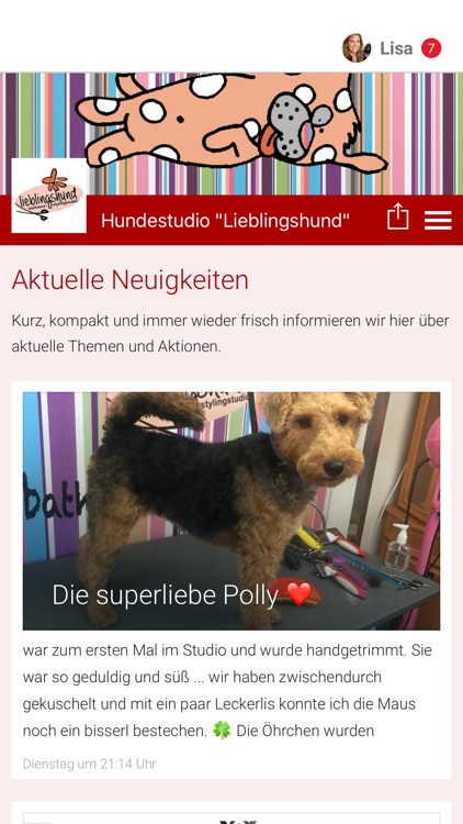 Hundestudio "Lieblingshund"