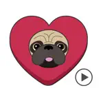 Pug Love Animated Dog Stickers App Support