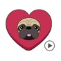 Pug Love Animated Dog Stickers app download