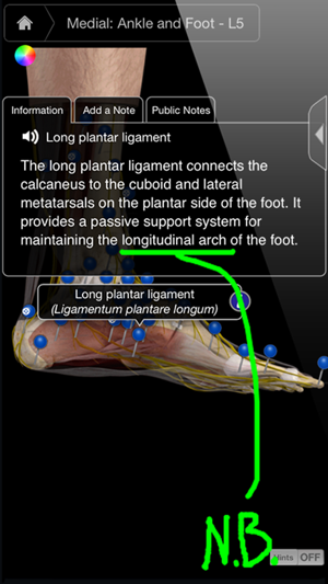 Ankle & Foot Pro III(圖2)-速報App