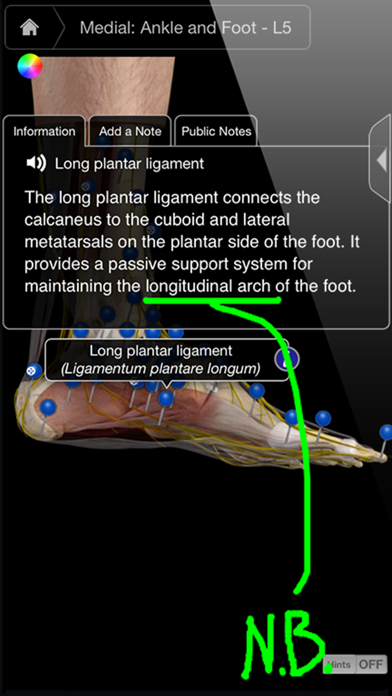 Ankle & Foot Pro III Screenshot 2