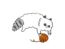 Ragdoll cats often are known as "dog-like cats" or "puppy-like cats" due to behaviors such as their tendency to follow people around, their ease at being physically handled, and their relative lack of aggression toward other pets
