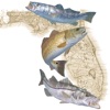Florida Fishing Regulations