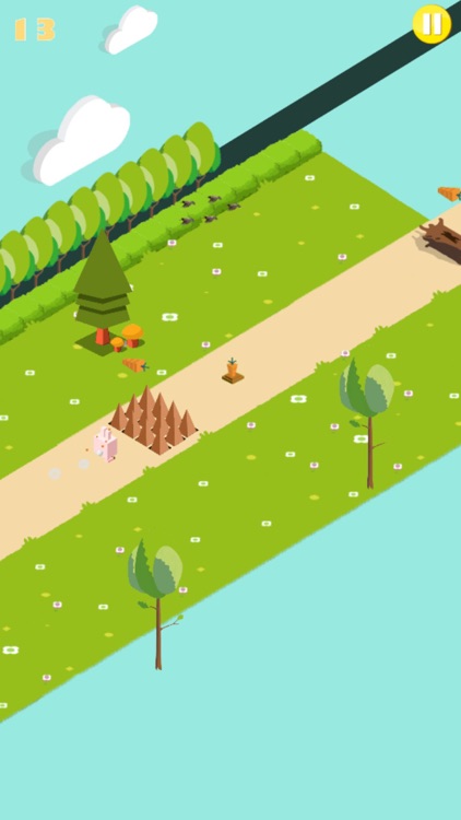 Run Sunny Bunny Run! screenshot-3