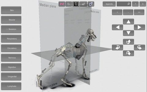 3D Canine Anatomy screenshot 4