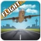 A complete pilot airplane simulator, ranging from a free roaming mode to rescue mode