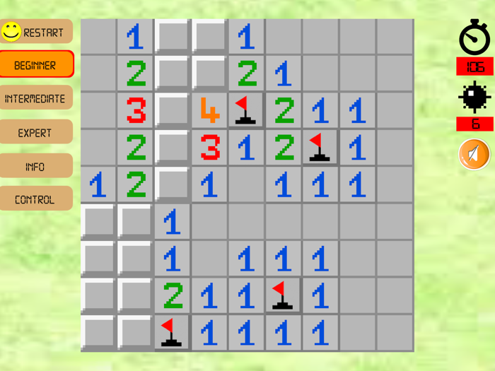 MinesSweeper Puzzle