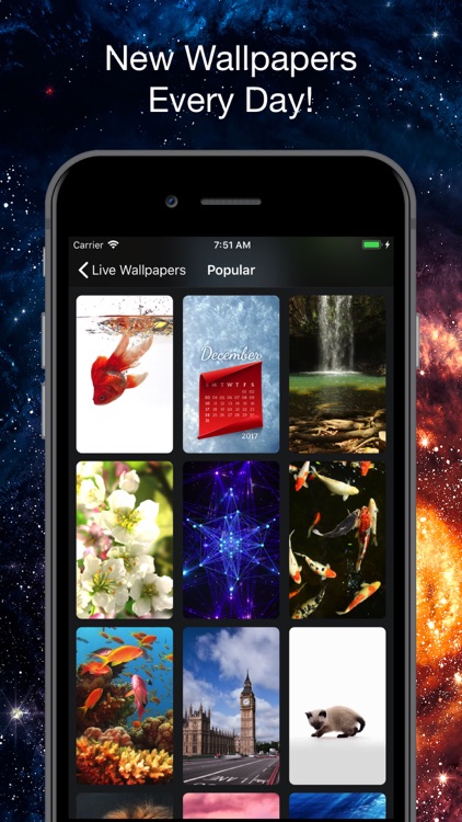 HD Live Wallpapers & Themes screenshot-3