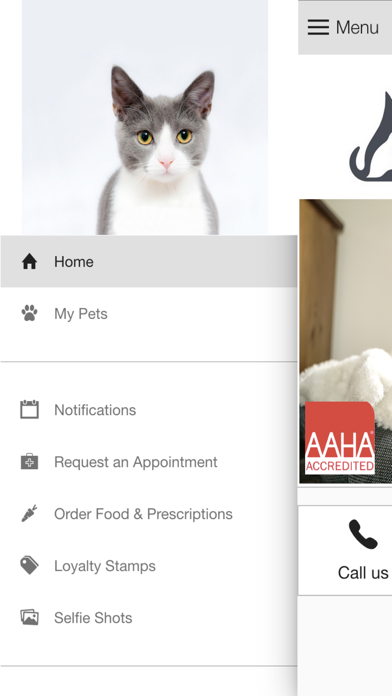 Mountain View Vet Clinic screenshot 2