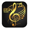 BSNRADIO Business