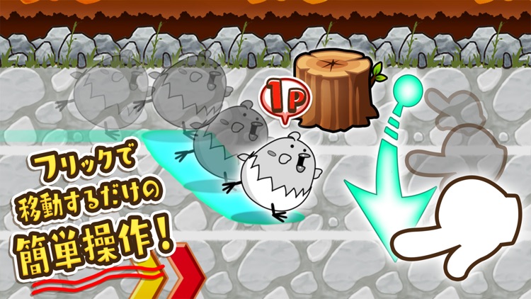 はばたけ!ひよこ小競争