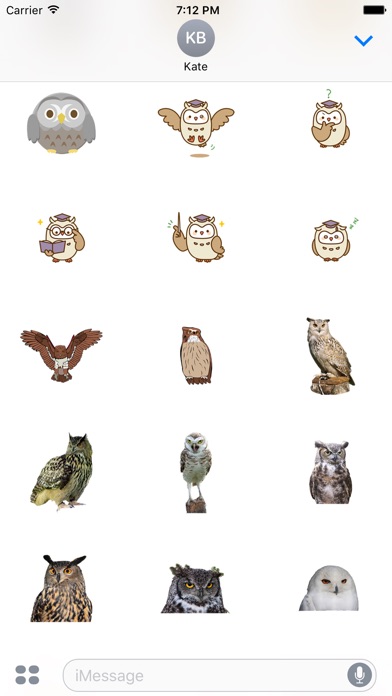 owl Cute sticker screenshot 3