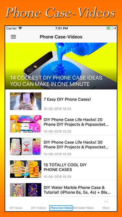 DIY Ideas And Videos screenshot-4