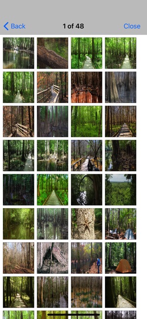 Congaree National Park - Great(圖5)-速報App