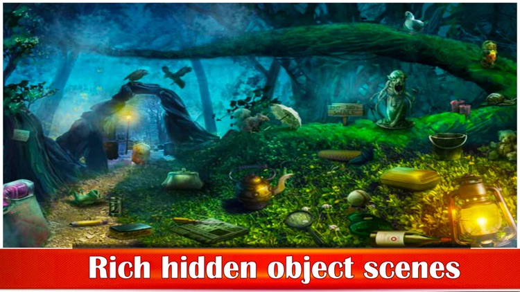 Hidden Objects Lost in Time screenshot-3