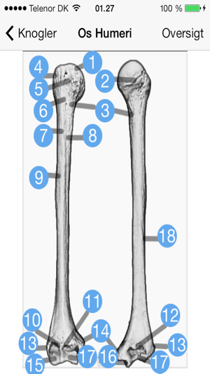 Anatomikort(圖2)-速報App