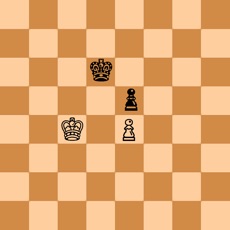Activities of Chess Endgame Trainer
