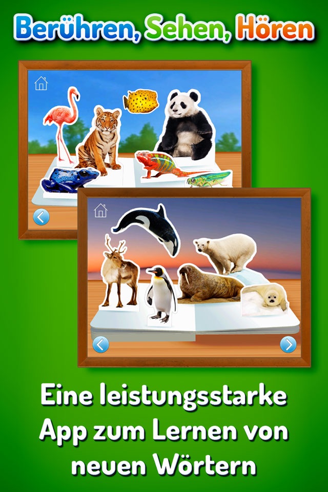 Zoo Animals ~ Touch, Look, Listen screenshot 2