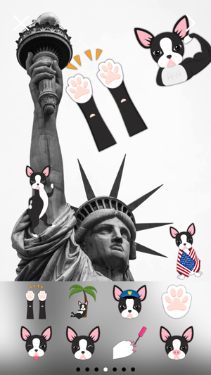 Boston Terrier Photo Booth(圖1)-速報App