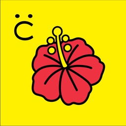 沖縄県LHR向けCARADA