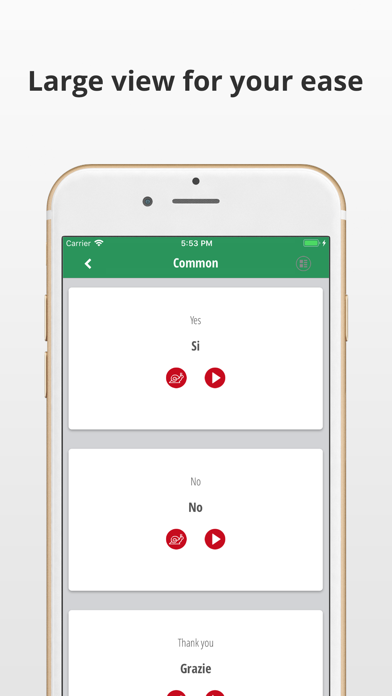 Learn Italian Language App screenshot 3