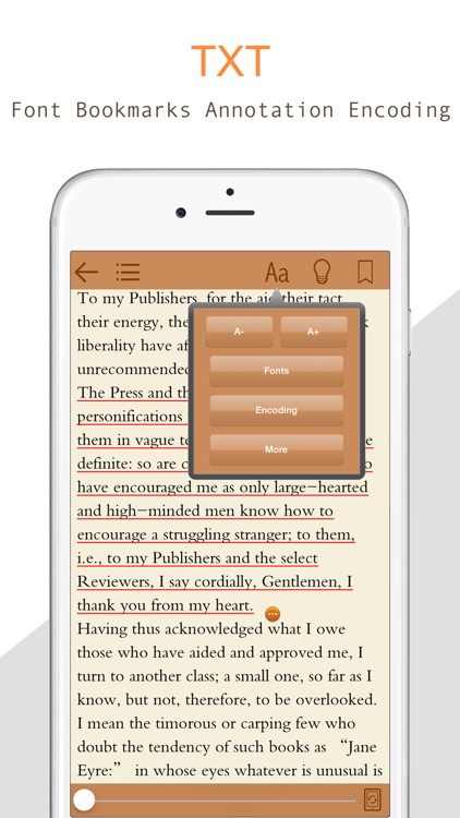 eReader Professional Edition