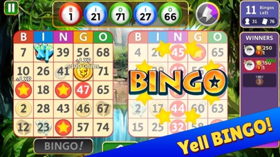 BINGO STAR 1.0 IOS CASINO BINGO STAR 1.0 IOS