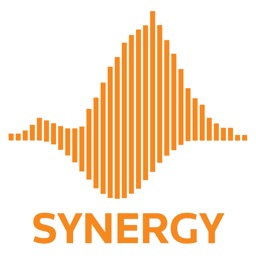 Synergy Bra