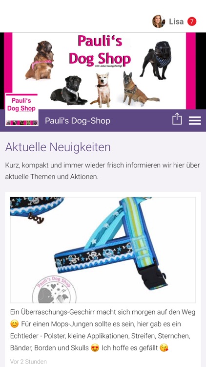 Pauli's Dog-Shop