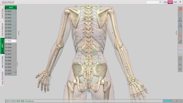 The Acupuncture of Extra Point screenshot-4