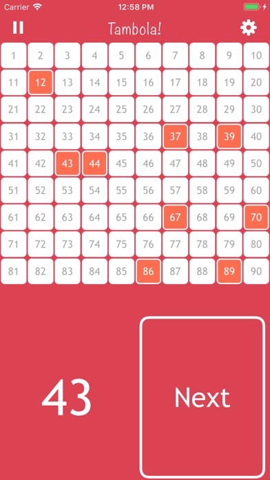 Bingo-Tambola Pro screenshot 4