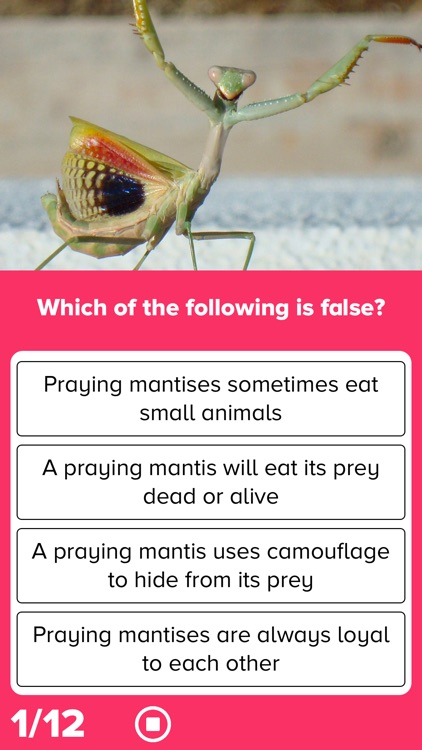 Reading Comprehension Prep screenshot-4