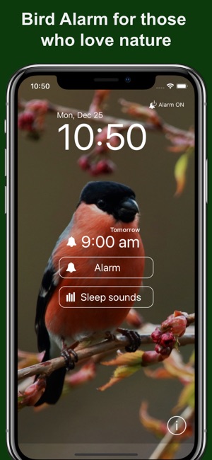 Bird Alarm Clock & Sleep Sound(圖1)-速報App